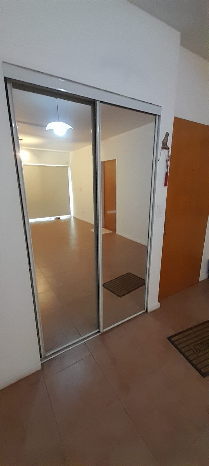 Placard con puertas espejadas